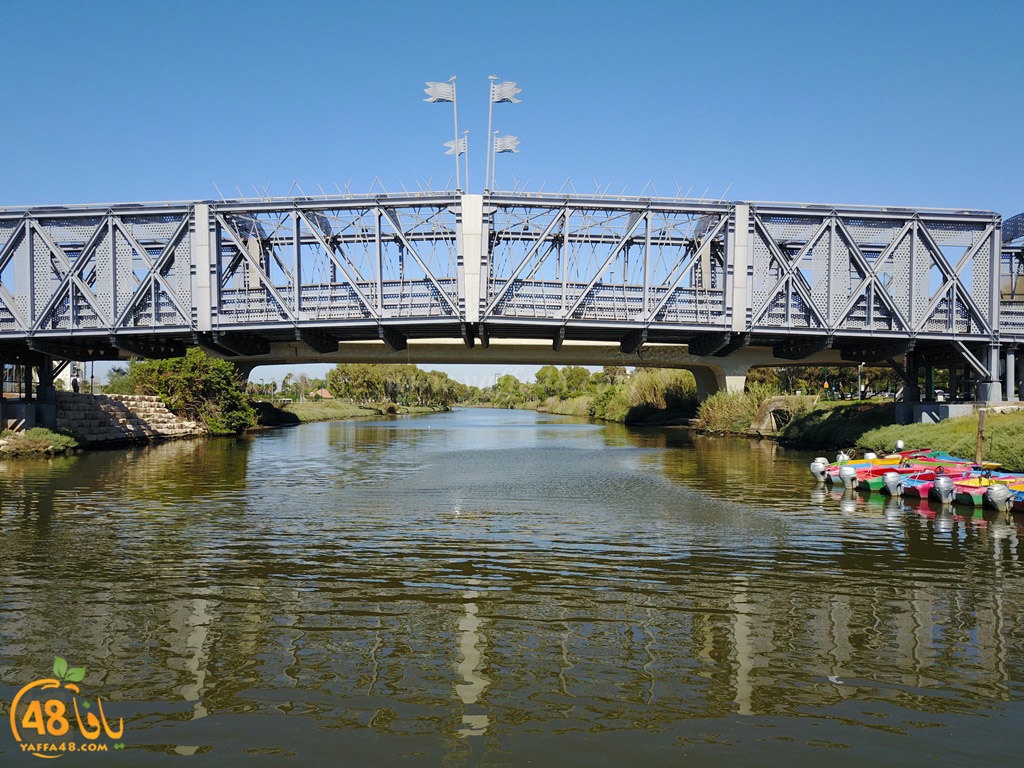 al3oja nahre (22).JPG